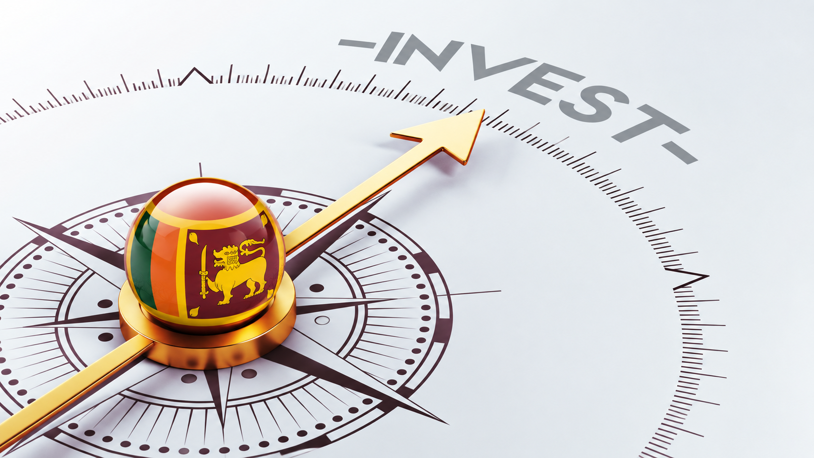 Trade & Investment Promotions